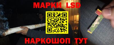 прущие грибы Можга