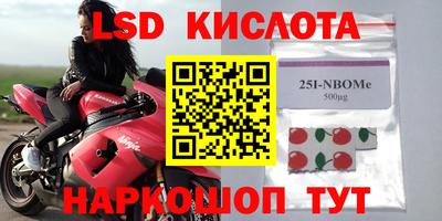 прущие грибы Можга