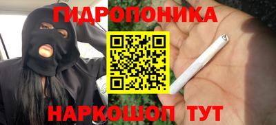 прущие грибы Можга