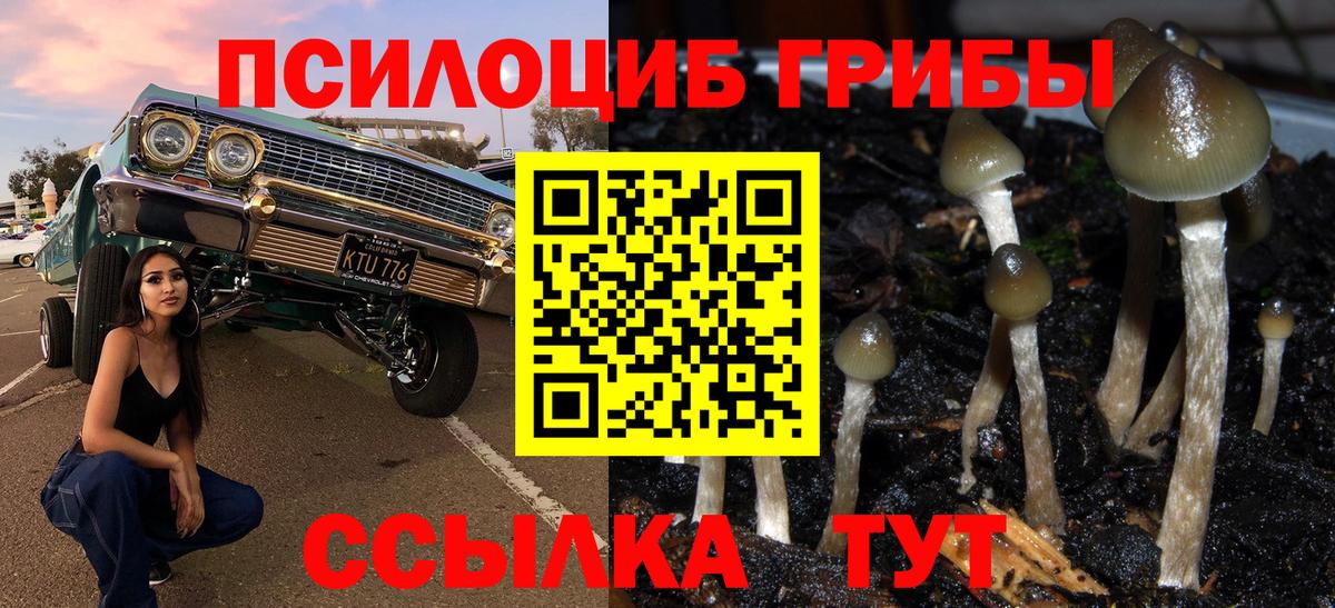 Псилоцибиновые грибы Psilocybine cubensis  Вход с VPN  Галлюциногенные грибы прущие грибы  Чехов 