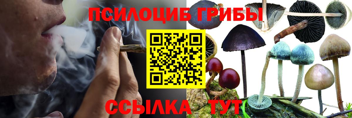 Галлюциногенные грибы мицелий Чехов
